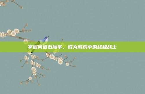 掌握问道石魔掌,成为游戏中的终极战士