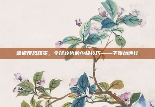 掌握反恐精英,全球攻势的终极技巧——子弹加速挂