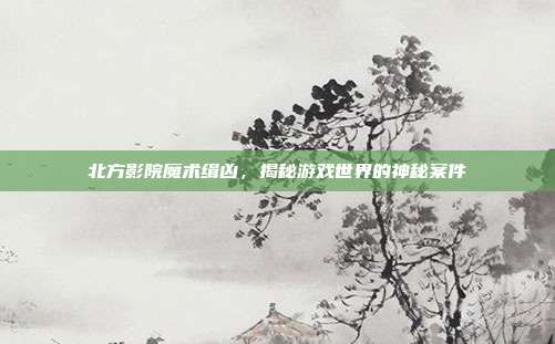北方影院魔术缉凶，揭秘游戏世界的神秘案件