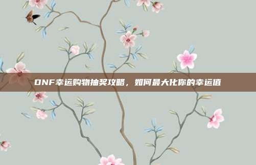 DNF幸运购物抽奖攻略,如何最大化你的幸运值