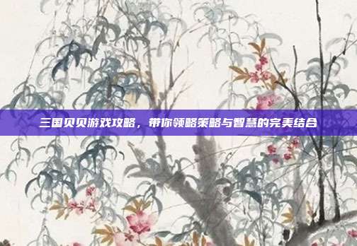 三国贝贝游戏攻略，带你领略策略与智慧的完美结合
