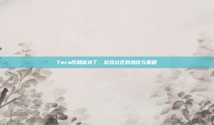 Tera反和谐补丁，游戏社区的热议与策略