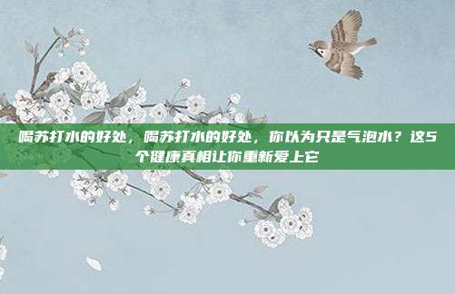 喝苏打水的好处，喝苏打水的好处，你以为只是气泡水？这5个健康真相让你重新爱上它