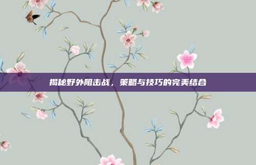 揭秘野外阻击战，策略与技巧的完美结合