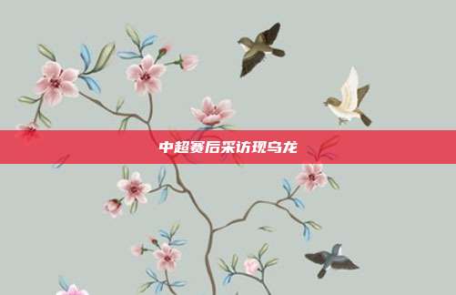 中超赛后采访现乌龙