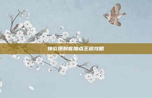 神泣爆刺客加点王道攻略
