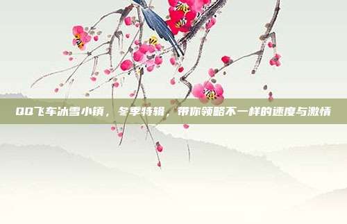 QQ飞车冰雪小镇,冬季特辑,带你领略不一样的速度与激情