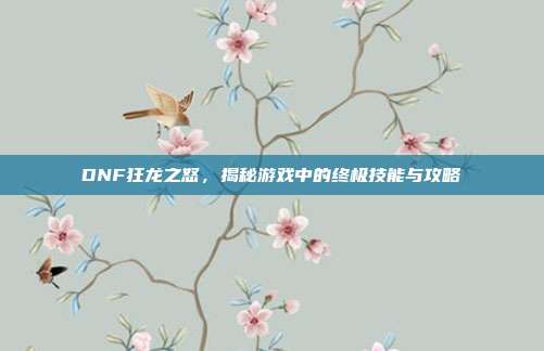 DNF狂龙之怒，揭秘游戏中的终极技能与攻略