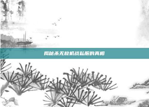 揭秘杀无赦机战私服的真相