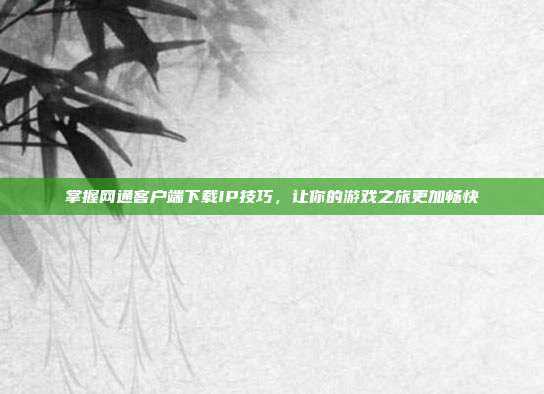 掌握网通客户端下载IP技巧，让你的游戏之旅更加畅快