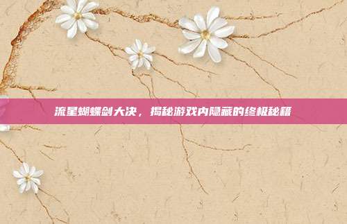 流星蝴蝶剑大决,揭秘游戏内隐藏的终极秘籍