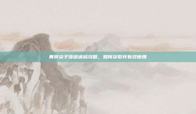 黄骅尖子顶邀请码攻略,如何获取并有效使用