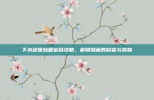 下水道保险箱密码攻略,解锁隐藏的财富与荣耀