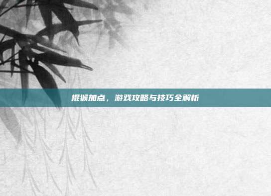 棍猴加点,游戏攻略与技巧全解析