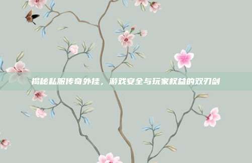 揭秘私服传奇外挂,游戏安全与玩家权益的双刃剑