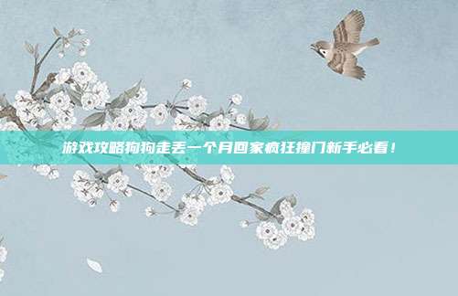 游戏攻略狗狗走丢一个月回家疯狂撞门新手必看!