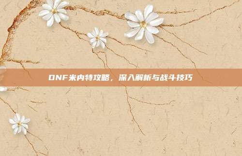 DNF米内特攻略,深入解析与战斗技巧