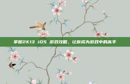 掌握2K13 iOS 游戏攻略,让你成为游戏中的高手