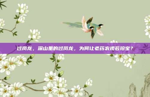 过岗龙，深山里的过岗龙，为何让老药农视若珍宝？