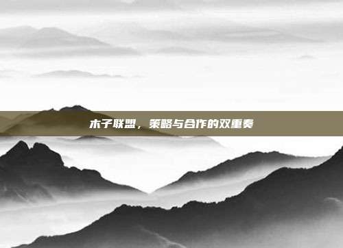 木子联盟,策略与合作的双重奏