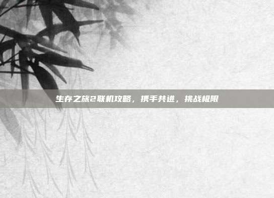 生存之旅2联机攻略,携手共进,挑战极限
