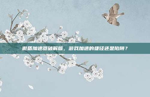 傲盾加速器破解版，游戏加速的捷径还是陷阱？