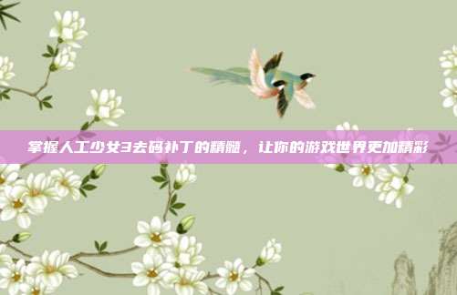 掌握人工少女3去码补丁的精髓,让你的游戏世界更加精彩