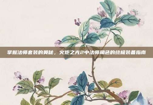 掌握法师套装的奥秘,火炬之光2中法师角色的终极装备指南