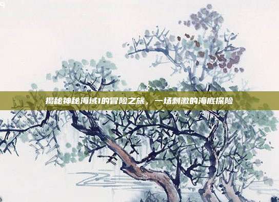 揭秘神秘海域1的冒险之旅,一场刺激的海底探险