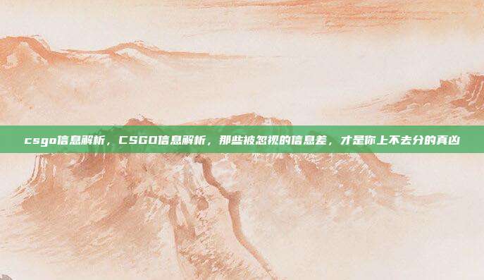 csgo信息解析，CSGO信息解析，那些被忽视的信息差，才是你上不去分的真凶