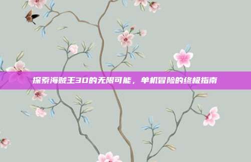 探索海贼王3D的无限可能,单机冒险的终极指南