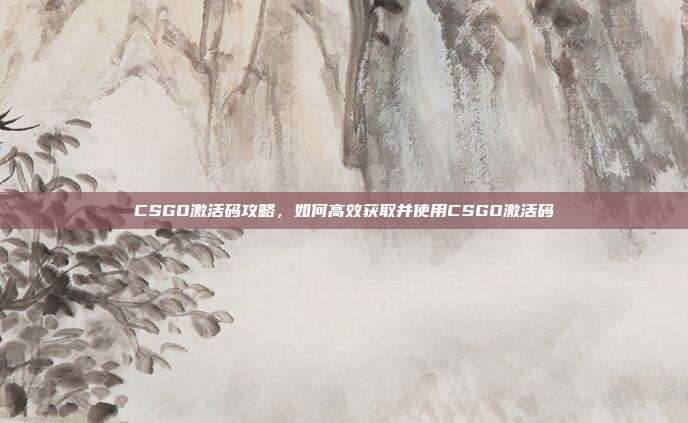 CSGO激活码攻略,如何高效获取并使用CSGO激活码
