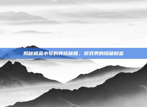 揭秘极品小号的养成秘籍,游戏界的隐藏财富