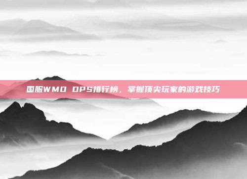 国服WMO DPS排行榜,掌握顶尖玩家的游戏技巧