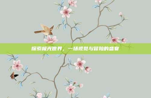 探索极光世界,一场视觉与冒险的盛宴