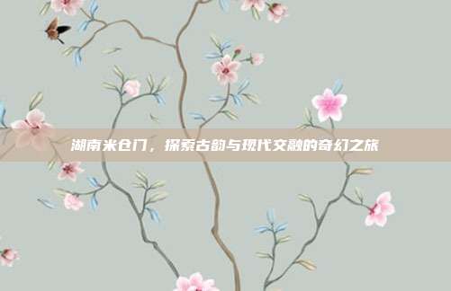 湖南米仓门,探索古韵与现代交融的奇幻之旅