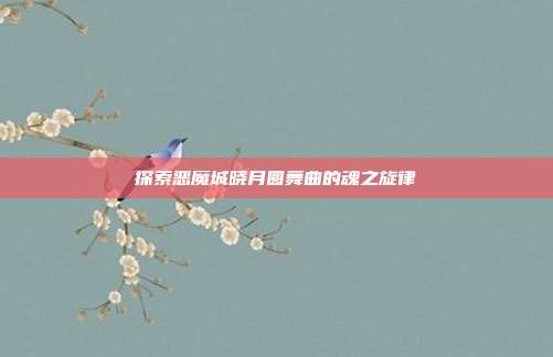 探索恶魔城晓月圆舞曲的魂之旋律