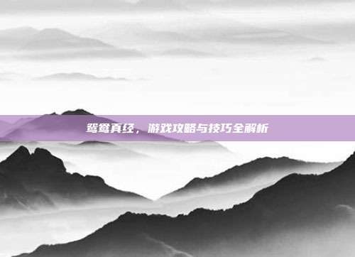 鸳鸯真经,游戏攻略与技巧全解析
