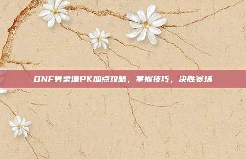 DNF男柔道PK加点攻略,掌握技巧,决胜赛场