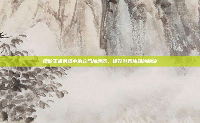 揭秘王者荣耀中的立马加速器，提升游戏体验的秘诀