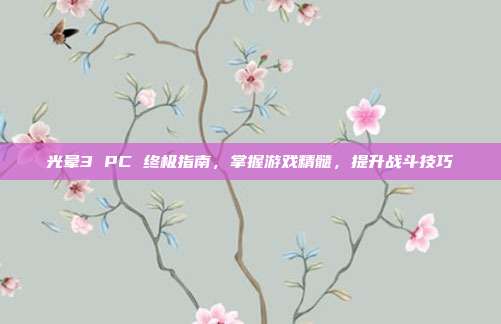 光晕3 PC 终极指南,掌握游戏精髓,提升战斗技巧