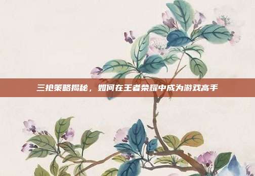 三抢策略揭秘,如何在王者荣耀中成为游戏高手