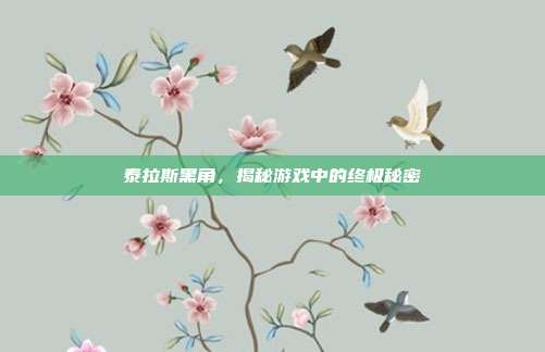泰拉斯黑角,揭秘游戏中的终极秘密