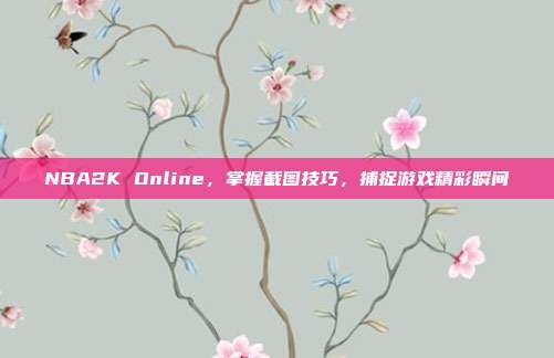 NBA2K Online，掌握截图技巧，捕捉游戏精彩瞬间