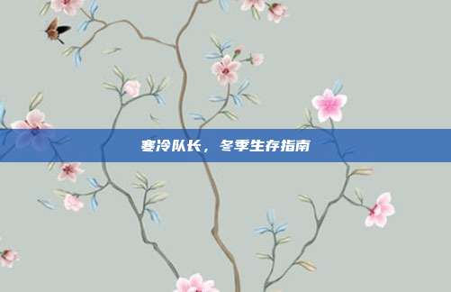 寒冷队长，冬季生存指南