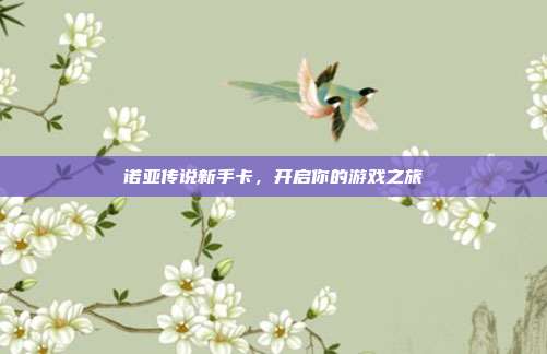 诺亚传说新手卡,开启你的游戏之旅