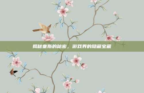 揭秘塞斯的秘密,游戏界的隐藏宝藏
