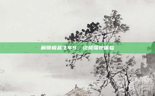 解锁极品飞车9,终极驾驶体验