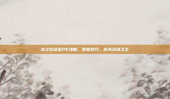 龙之谷剑圣PK攻略,掌握技巧,成为战场之王