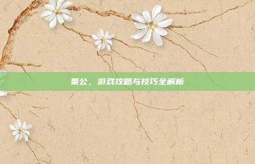 莱公，游戏攻略与技巧全解析